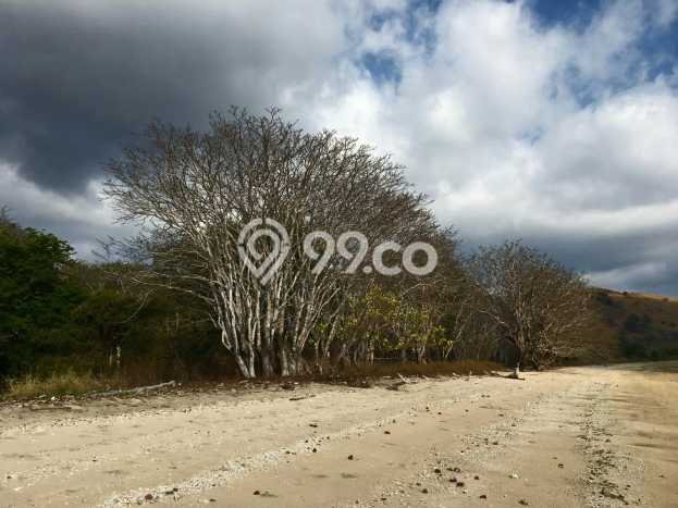 Tanah di Labuan Bajo, Luas 8800m², Akses Labuan Bajo, Manggarai Barat, Manggarai Barat Tanah di Labuan Bajo, Luas 8800m², Akses Labuan Bajo, Manggarai Barat, Manggarai Barat