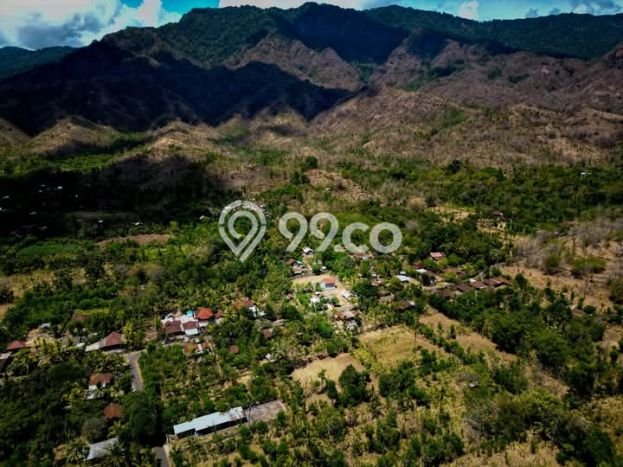 Kavling Tanah untuk Dijual di Singaraja, Buleleng, Luas 1200m2 Kavling Tanah untuk Dijual di Singaraja, Buleleng, Luas 1200m2