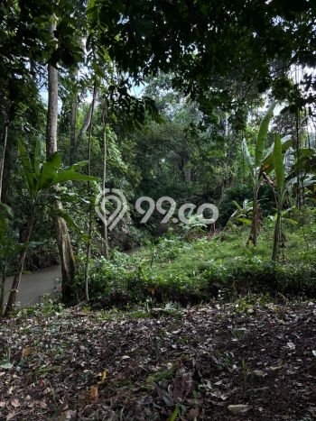 Lahan Disewakan Lokasi Tumbak Bayuh Badung Luas 780m2 Lahan Disewakan Lokasi Tumbak Bayuh Badung Luas 780m2