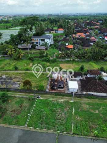 Dijual Tanah Lokasi Buwit, Tabanan Seluas 200m2 Dijual Tanah Lokasi Buwit, Tabanan Seluas 200m2