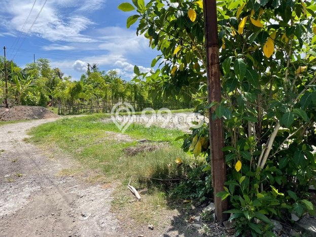 Excellent Investment Opportunity In Sanur Lasehold Land Excellent Investment Opportunity In Sanur Lasehold Land