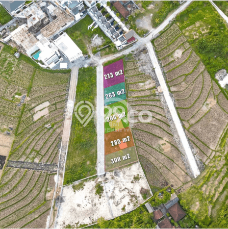 Dijual Kavling Tanah di Kawasan Premium Berawa, Canggu Bali Dijual Kavling Tanah di Kawasan Premium Berawa, Canggu Bali