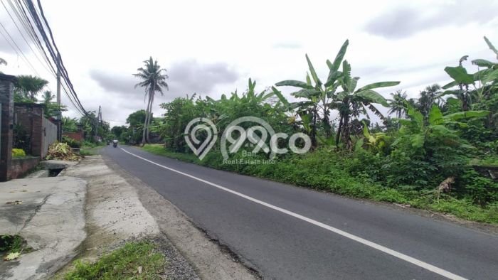 Dijual Tanah Komersil, Pinggir Jalan Utama Pantai Kedungu Dijual Tanah Komersil, Pinggir Jalan Utama Pantai Kedungu