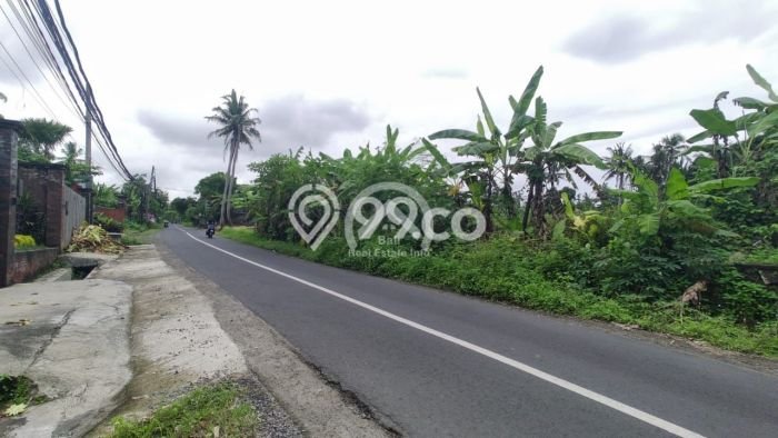 Dijual Tanah Komersil, Pinggir Jalan Utama Pantai Kedungu Dijual Tanah Komersil, Pinggir Jalan Utama Pantai Kedungu