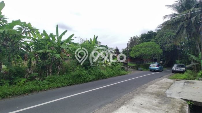 Dijual Tanah Komersil, Pinggir Jalan Utama Pantai Kedungu Dijual Tanah Komersil, Pinggir Jalan Utama Pantai Kedungu