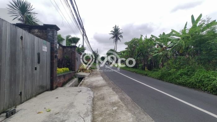 Dijual Tanah Komersil, Pinggir Jalan Utama Pantai Kedungu Dijual Tanah Komersil, Pinggir Jalan Utama Pantai Kedungu
