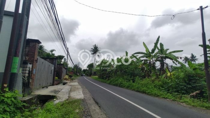 Dijual Tanah Komersil, Pinggir Jalan Utama Pantai Kedungu Dijual Tanah Komersil, Pinggir Jalan Utama Pantai Kedungu