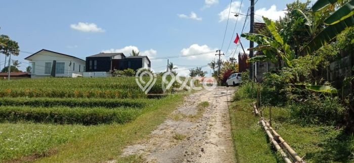 Dijual Tanah Super Langka Siap Bangun Di Pantai Nyanyi Dijual Tanah Super Langka Siap Bangun Di Pantai Nyanyi