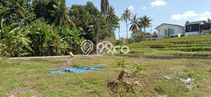 Dijual Tanah Super Langka Siap Bangun Di Pantai Nyanyi Dijual Tanah Super Langka Siap Bangun Di Pantai Nyanyi