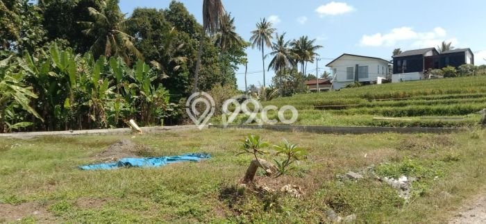 Dijual Tanah Super Langka Siap Bangun Di Pantai Nyanyi Dijual Tanah Super Langka Siap Bangun Di Pantai Nyanyi