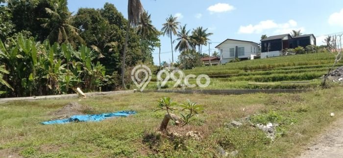 Dijual Tanah Super Langka Siap Bangun Di Pantai Nyanyi Dijual Tanah Super Langka Siap Bangun Di Pantai Nyanyi