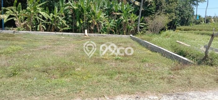 Dijual Tanah Super Langka Siap Bangun Di Pantai Nyanyi Dijual Tanah Super Langka Siap Bangun Di Pantai Nyanyi