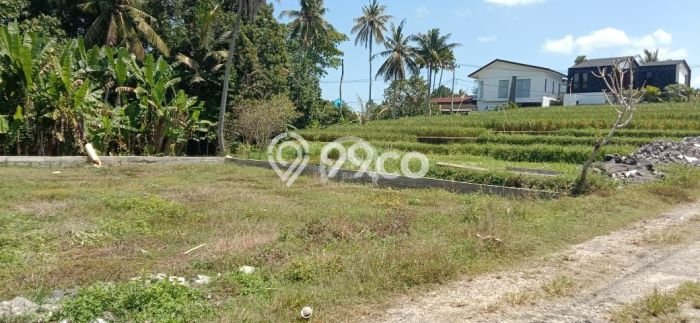 Dijual Tanah Super Langka Siap Bangun Di Pantai Nyanyi Dijual Tanah Super Langka Siap Bangun Di Pantai Nyanyi
