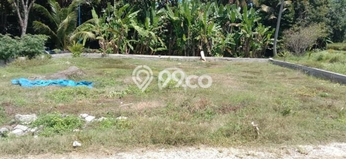 Dijual Tanah Super Langka Siap Bangun Di Pantai Nyanyi Dijual Tanah Super Langka Siap Bangun Di Pantai Nyanyi