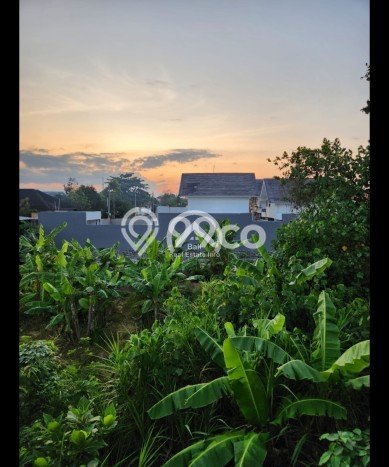 Brand New Villa For Sale At Canggu Bali Fully Furnished Brand New Villa For Sale At Canggu Bali Fully Furnished