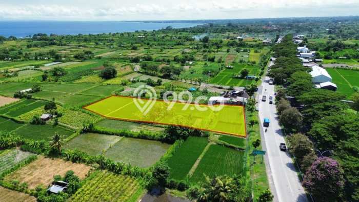 Tanah Siap Bangun Dijual di Klungkung Punya Luas 2975m2 Tanah Siap Bangun Dijual di Klungkung Punya Luas 2975m2