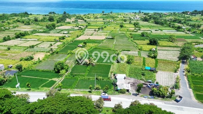 Tanah Siap Bangun Dijual di Klungkung Punya Luas 2975m2 Tanah Siap Bangun Dijual di Klungkung Punya Luas 2975m2