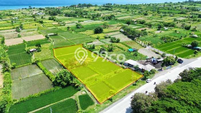Tanah Siap Bangun Dijual di Klungkung Punya Luas 2975m2 Tanah Siap Bangun Dijual di Klungkung Punya Luas 2975m2