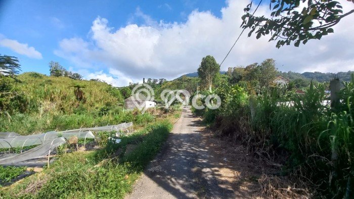 Tanah Kavling Dijual di Bedugul, Tabanan dengan Luas Tanah 500m2 Tanah Kavling Dijual di Bedugul, Tabanan dengan Luas Tanah 500m2