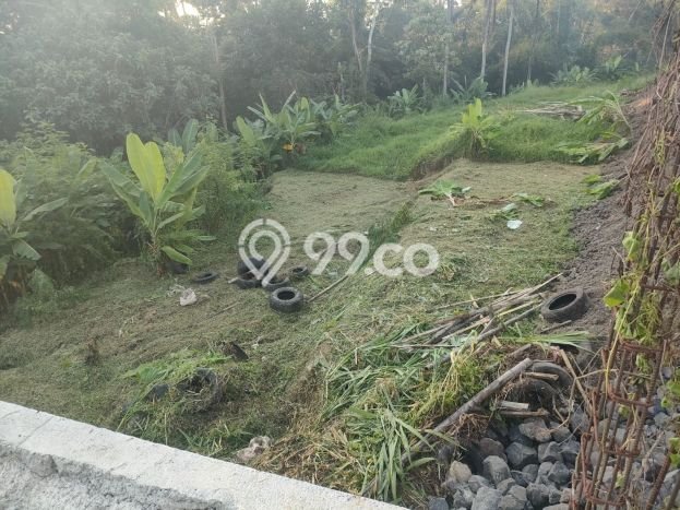 Tanah Kavling Dijual di Gianyar dengan Spesifikasi 710m2 Tanah Kavling Dijual di Gianyar dengan Spesifikasi 710m2