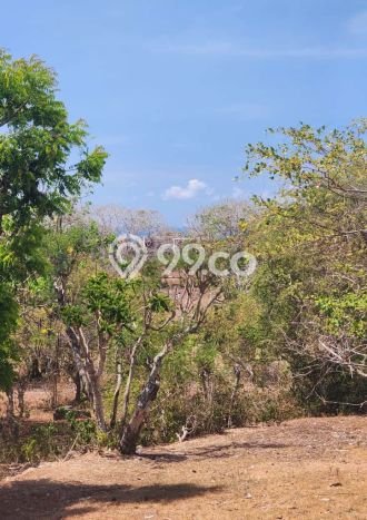 Tanah Dijual Area Strategis di Kutuh Badung 450m2 Tanah Dijual Area Strategis di Kutuh Badung 450m2