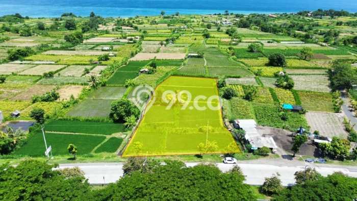 Tanah Siap Bangun Dijual di Klungkung Punya Luas 2975m2 Tanah Siap Bangun Dijual di Klungkung Punya Luas 2975m2