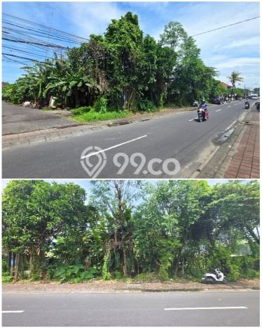 Tanah Siap Bangun Dijual di Badung Punya Luas 3116m2 Tanah Siap Bangun Dijual di Badung Punya Luas 3116m2
