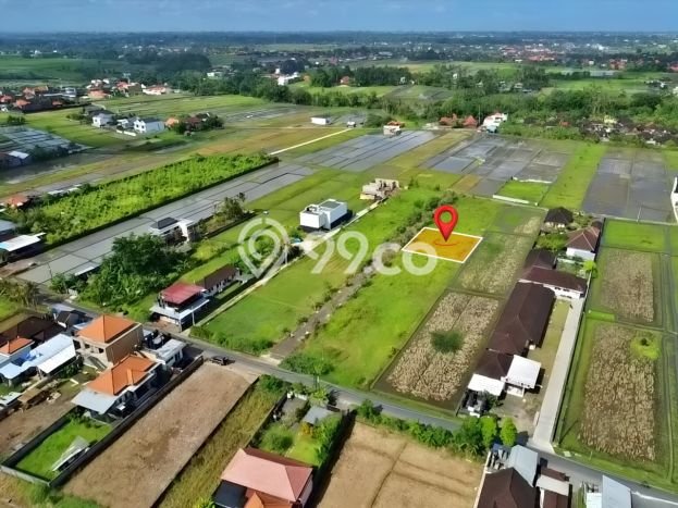 Untuk Dijual Tanah di Tabanan, Luas 500m2 SHM Untuk Dijual Tanah di Tabanan, Luas 500m2 SHM
