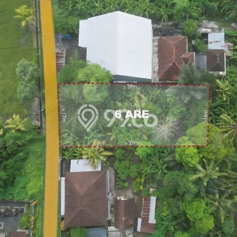 Tanah untuk Disewa di Tabanan Luas 600m2 Tanah untuk Disewa di Tabanan Luas 600m2