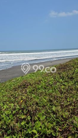 Lahan Kosong Dijual di Tabanan, Tabanan, Luas 6900m2 Area Strategis Lahan Kosong Dijual di Tabanan, Tabanan, Luas 6900m2 Area Strategis