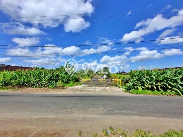 Untuk Dijual Tanah di Tabanan, Luas 500m2 SHM Untuk Dijual Tanah di Tabanan, Luas 500m2 SHM