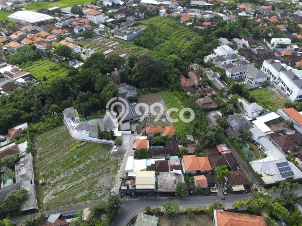Jarang Ada! Tanah Kavling Disewakan di Badung 1100m2 Jarang Ada! Tanah Kavling Disewakan di Badung 1100m2