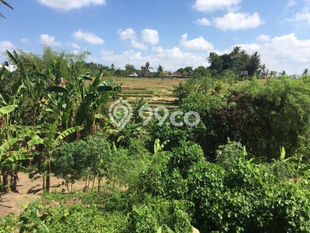 Tanah Kavling Dijual di Gianyar dengan Spesifikasi 710m2 Tanah Kavling Dijual di Gianyar dengan Spesifikasi 710m2