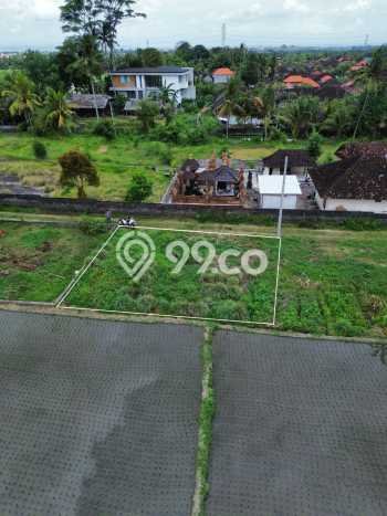 Dijual Tanah Lokasi Buwit, Tabanan Seluas 200m2 Dijual Tanah Lokasi Buwit, Tabanan Seluas 200m2