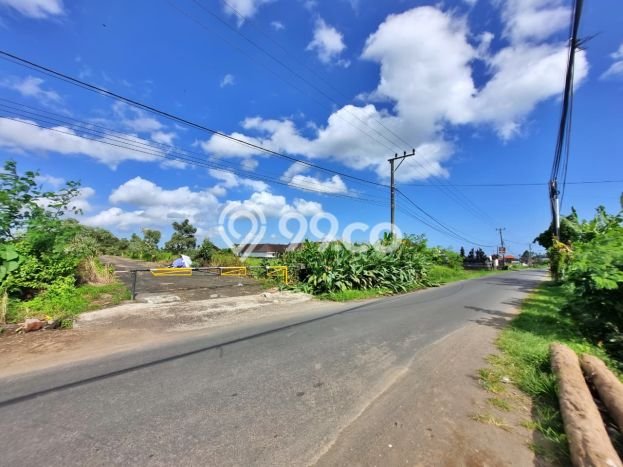 Untuk Dijual Tanah di Tabanan, Luas 500m2 SHM Untuk Dijual Tanah di Tabanan, Luas 500m2 SHM