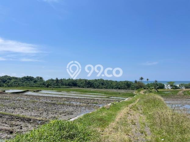 Tanah Dijual di Tabanan Seluas 2810m2 Strategis Tanah Dijual di Tabanan Seluas 2810m2 Strategis