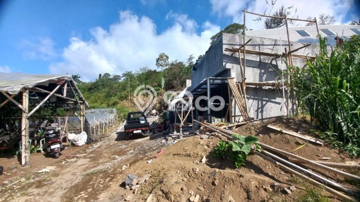Tanah Kavling Dijual di Bedugul, Tabanan dengan Luas Tanah 500m2 Tanah Kavling Dijual di Bedugul, Tabanan dengan Luas Tanah 500m2