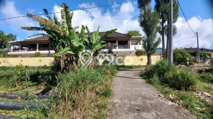 Tanah Kavling Dijual di Bedugul, Tabanan dengan Luas Tanah 500m2 Tanah Kavling Dijual di Bedugul, Tabanan dengan Luas Tanah 500m2