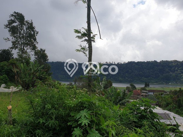 Tanah Kavling Dijual di Bedugul, Tabanan dengan Luas Tanah 500m2 Tanah Kavling Dijual di Bedugul, Tabanan dengan Luas Tanah 500m2