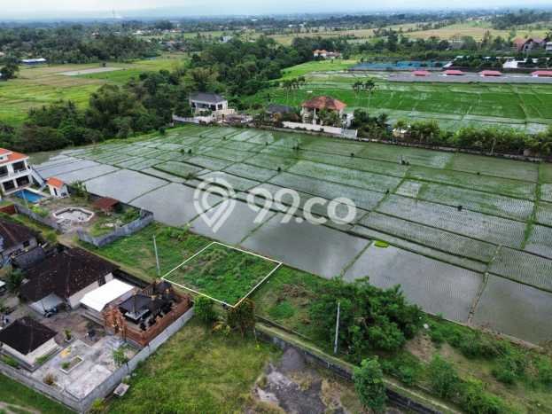 Dijual Tanah Lokasi Buwit, Tabanan Seluas 200m2 Dijual Tanah Lokasi Buwit, Tabanan Seluas 200m2