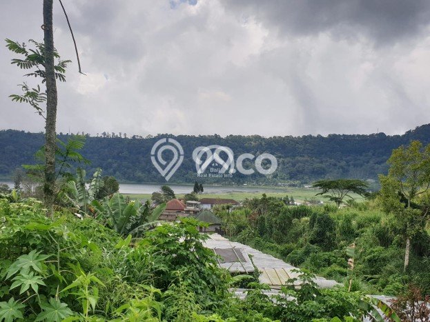Tanah Kavling Dijual di Bedugul, Tabanan dengan Luas Tanah 500m2 Tanah Kavling Dijual di Bedugul, Tabanan dengan Luas Tanah 500m2