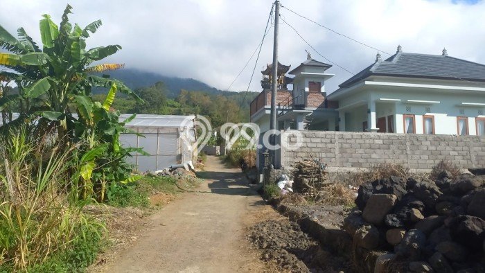 Tanah Kavling Dijual di Bedugul, Tabanan dengan Luas Tanah 500m2 Tanah Kavling Dijual di Bedugul, Tabanan dengan Luas Tanah 500m2
