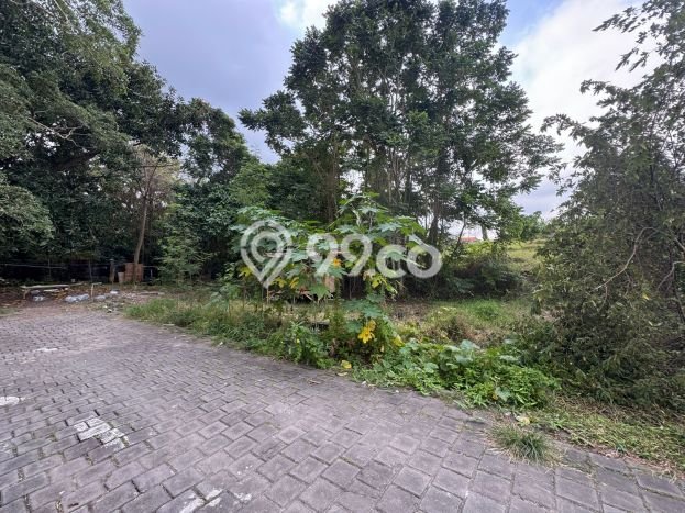Dijual Tanah Lokasi Tumbak Bayuh, Badung Seluas 150m2 Dijual Tanah Lokasi Tumbak Bayuh, Badung Seluas 150m2