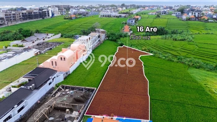 Tanah untuk Disewa di Badung Luas 1750m2 Tanah untuk Disewa di Badung Luas 1750m2