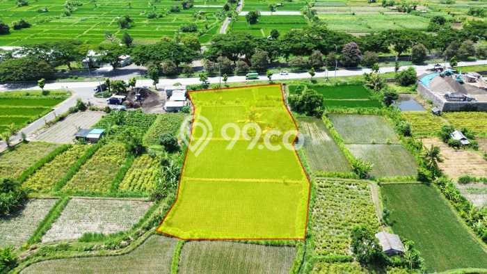 Tanah Siap Bangun Dijual di Klungkung Punya Luas 2975m2 Tanah Siap Bangun Dijual di Klungkung Punya Luas 2975m2