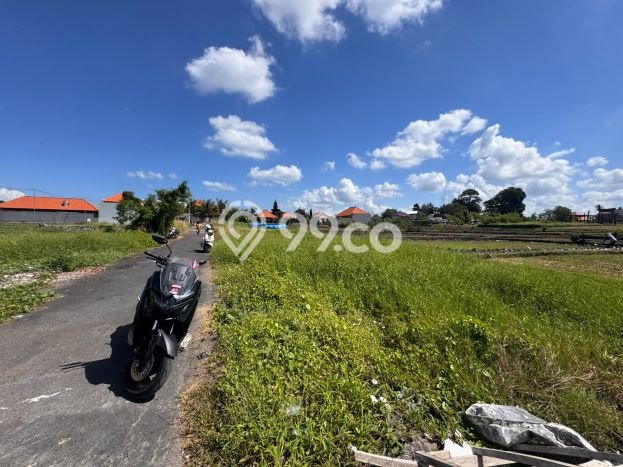 Tanah Dijual Lokasi Strategis di Badung dengan Luas 315m2 Tanah Dijual Lokasi Strategis di Badung dengan Luas 315m2