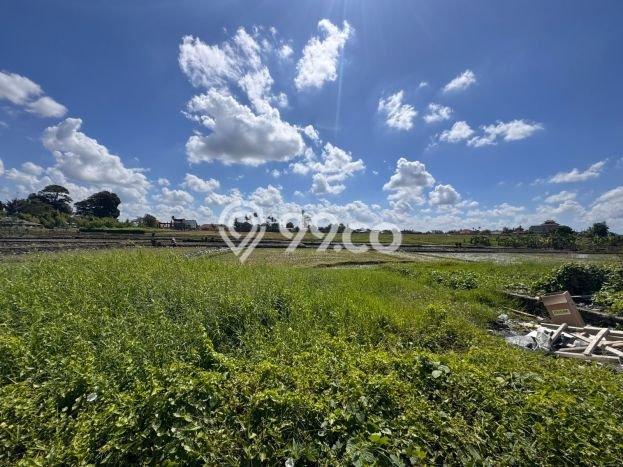 Tanah Dijual Lokasi Strategis di Badung dengan Luas 315m2 Tanah Dijual Lokasi Strategis di Badung dengan Luas 315m2