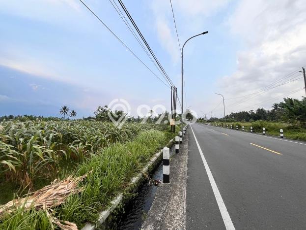 Tanah Kavling untuk Dijual di Borobudur Magelang 48000m2 Tanah Kavling untuk Dijual di Borobudur Magelang 48000m2