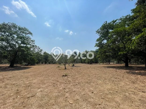 Tanah Dijual di Tangerang Seluas 1820m2 Strategis Tanah Dijual di Tangerang Seluas 1820m2 Strategis