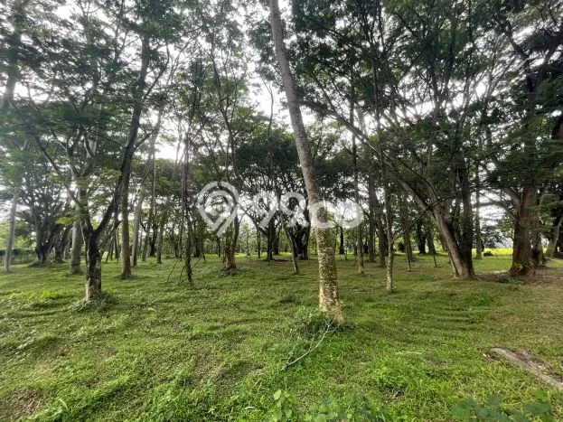 Untuk Dijual Tanah di Tangerang, Luas 4007m2 - Untuk Dijual Tanah di Tangerang, Luas 4007m2 -